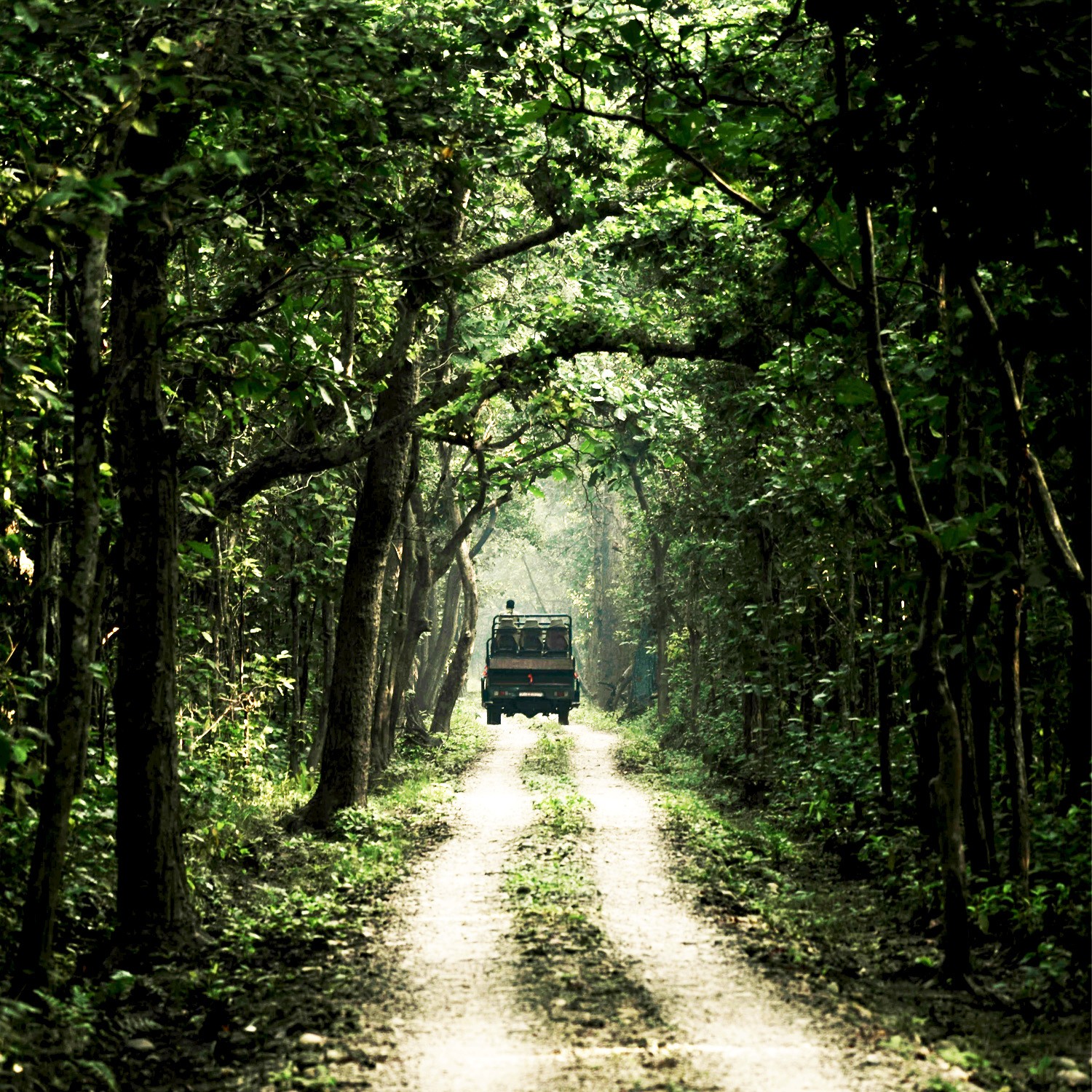 Parc national de Bardia