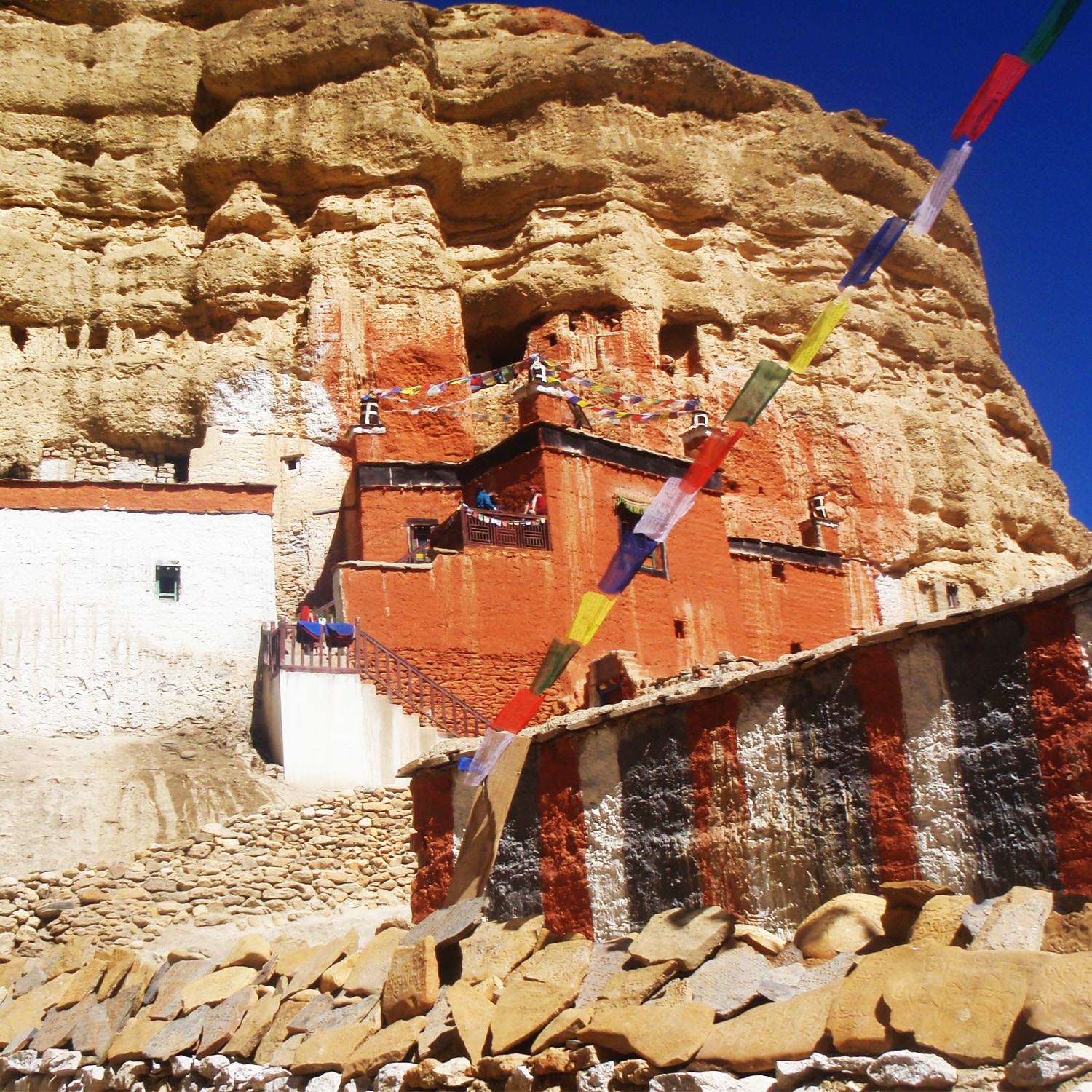 Royal Mustang - 13 jours