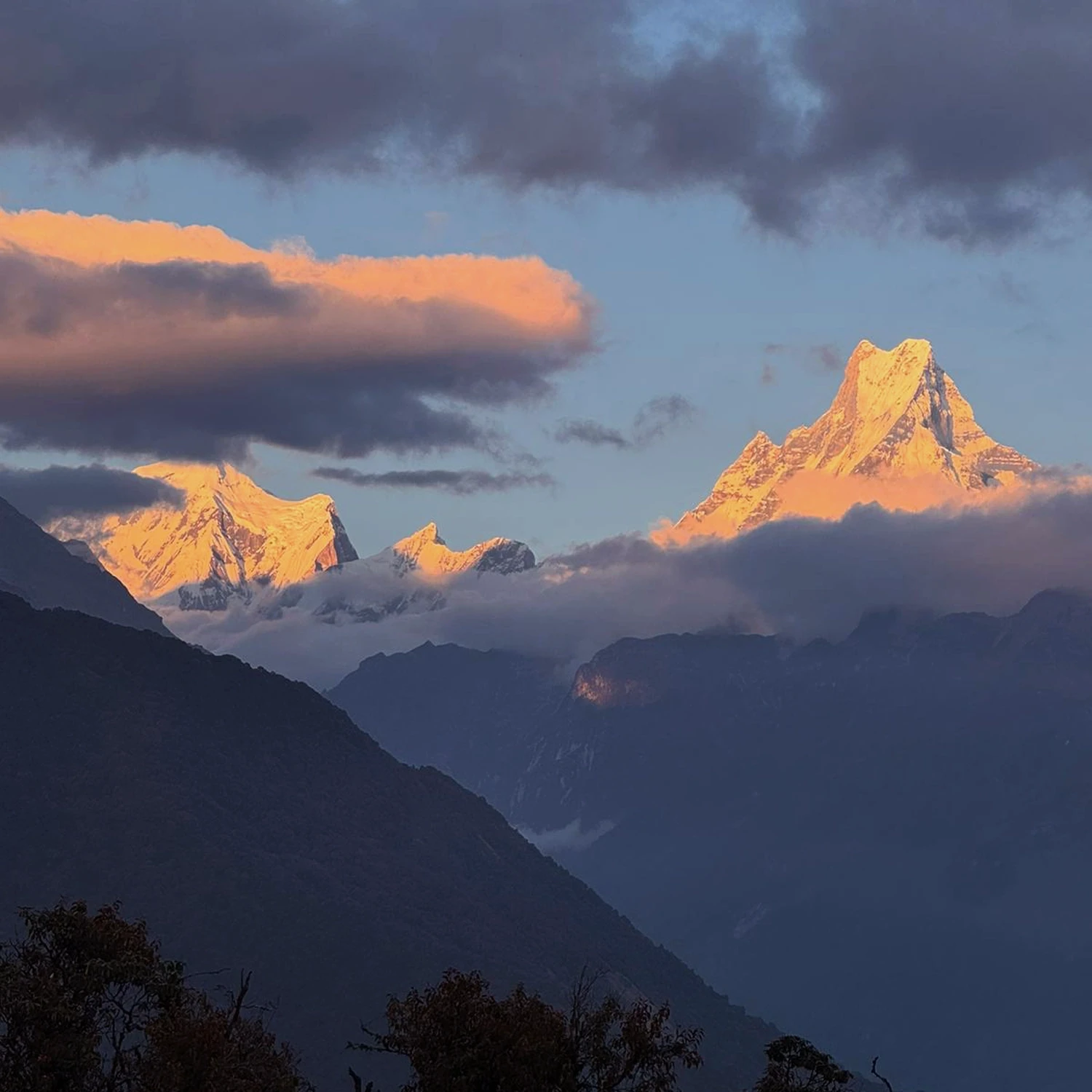 Annapurna Paradise -  13 jours
