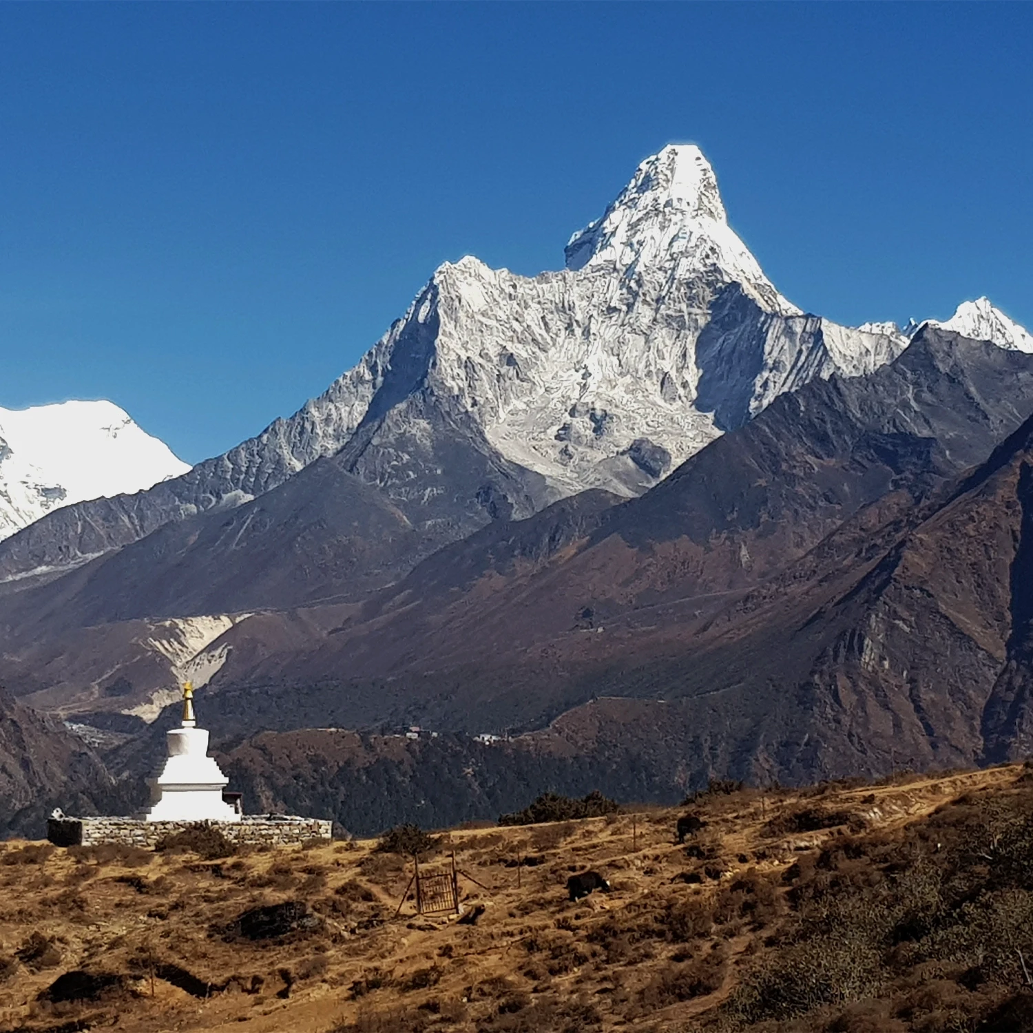 Camp de base de l’Everest -  16 jours