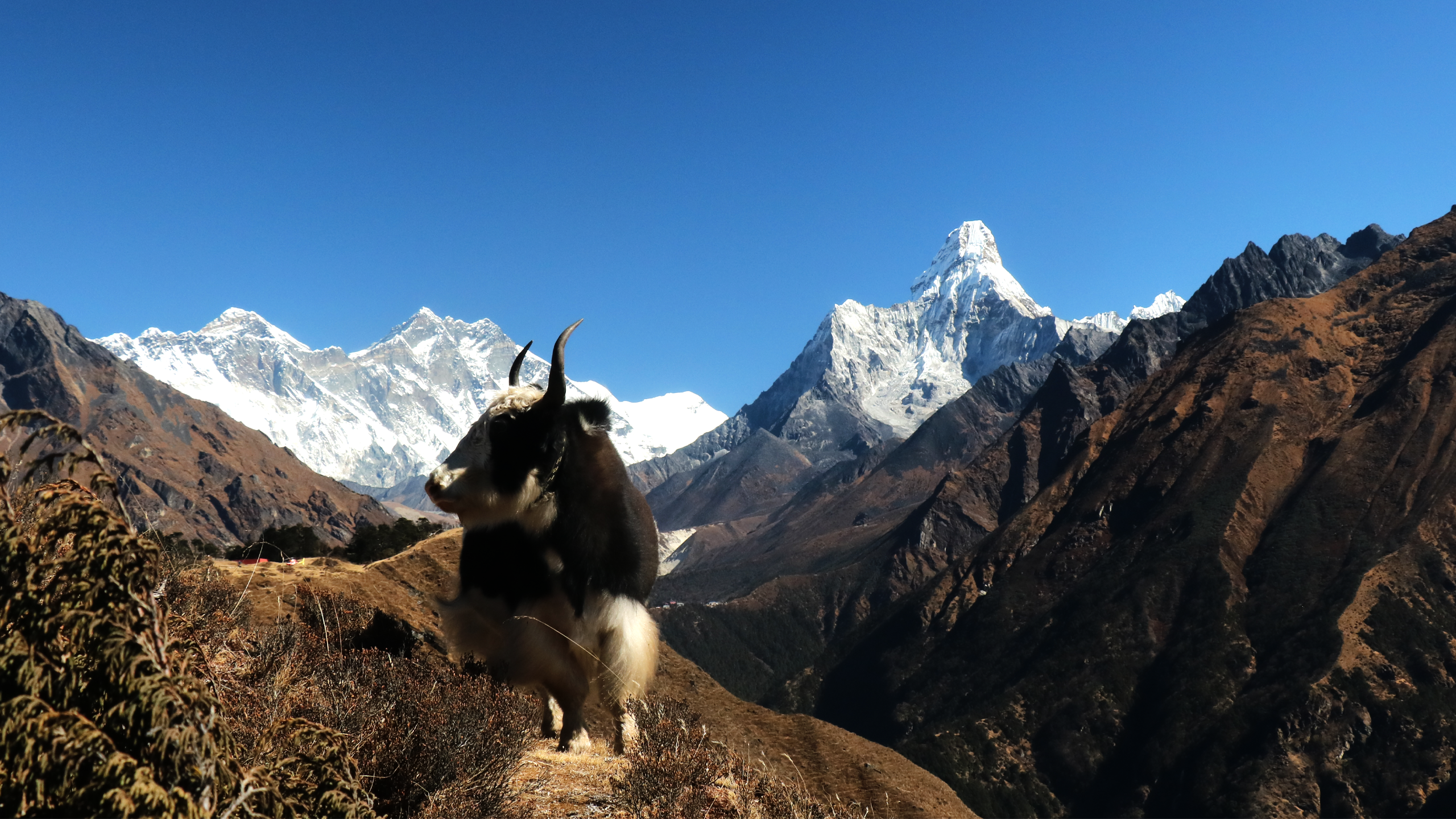 Trek panoramique de l’Everest